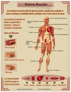 Infographic Body