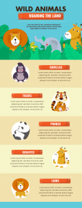 Wild animal infographic