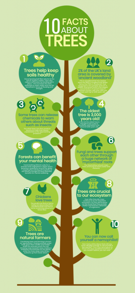 10 Tips to Jazz Up Your Science Classroom with Infographics