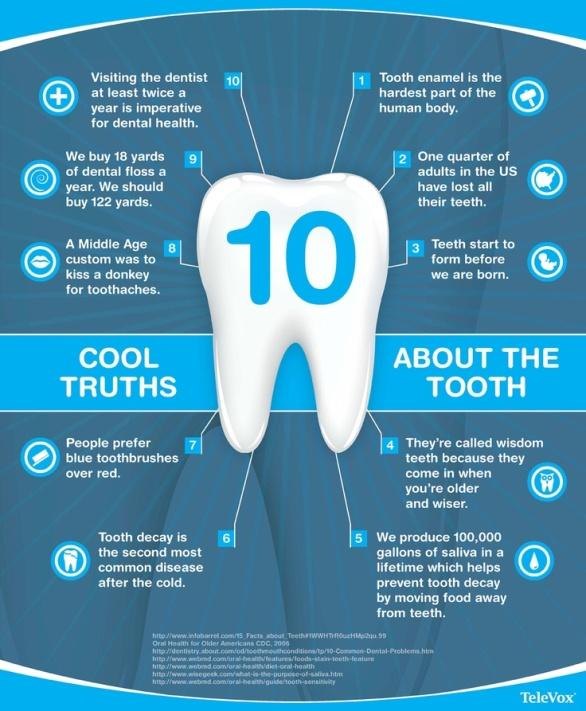 Cool truths about the tooth infographic