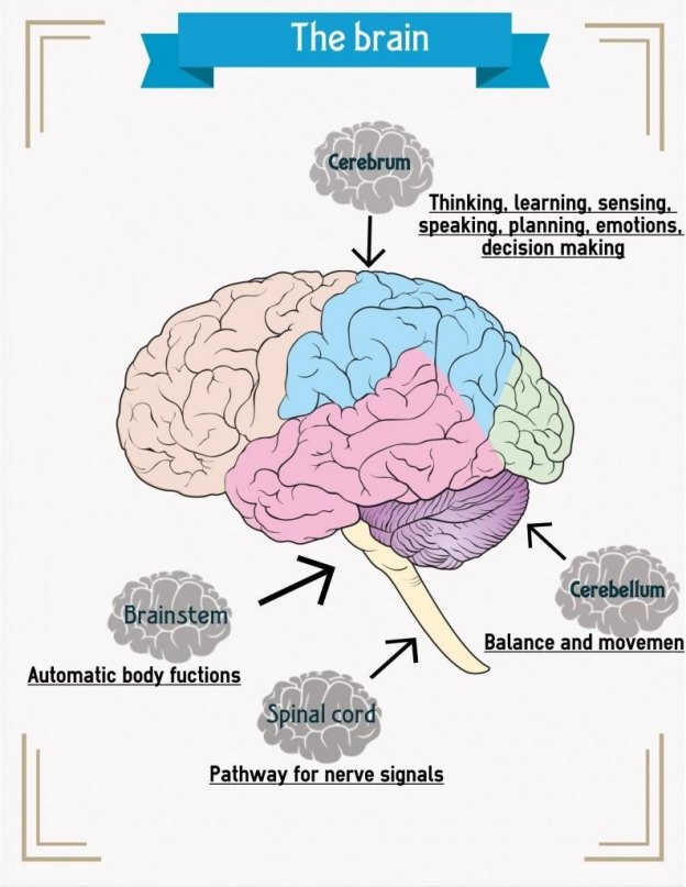 Science Infographics Archives