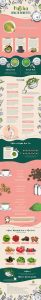 matcha infographic