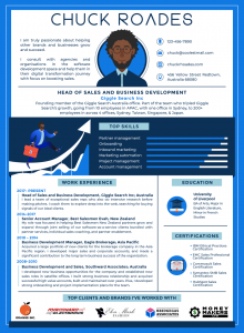 infographic resume example