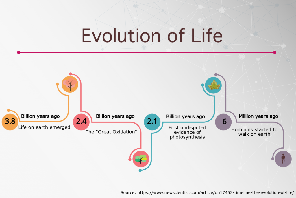 Evolution of life timeline infographic - Simple Infographic Maker Tool ...