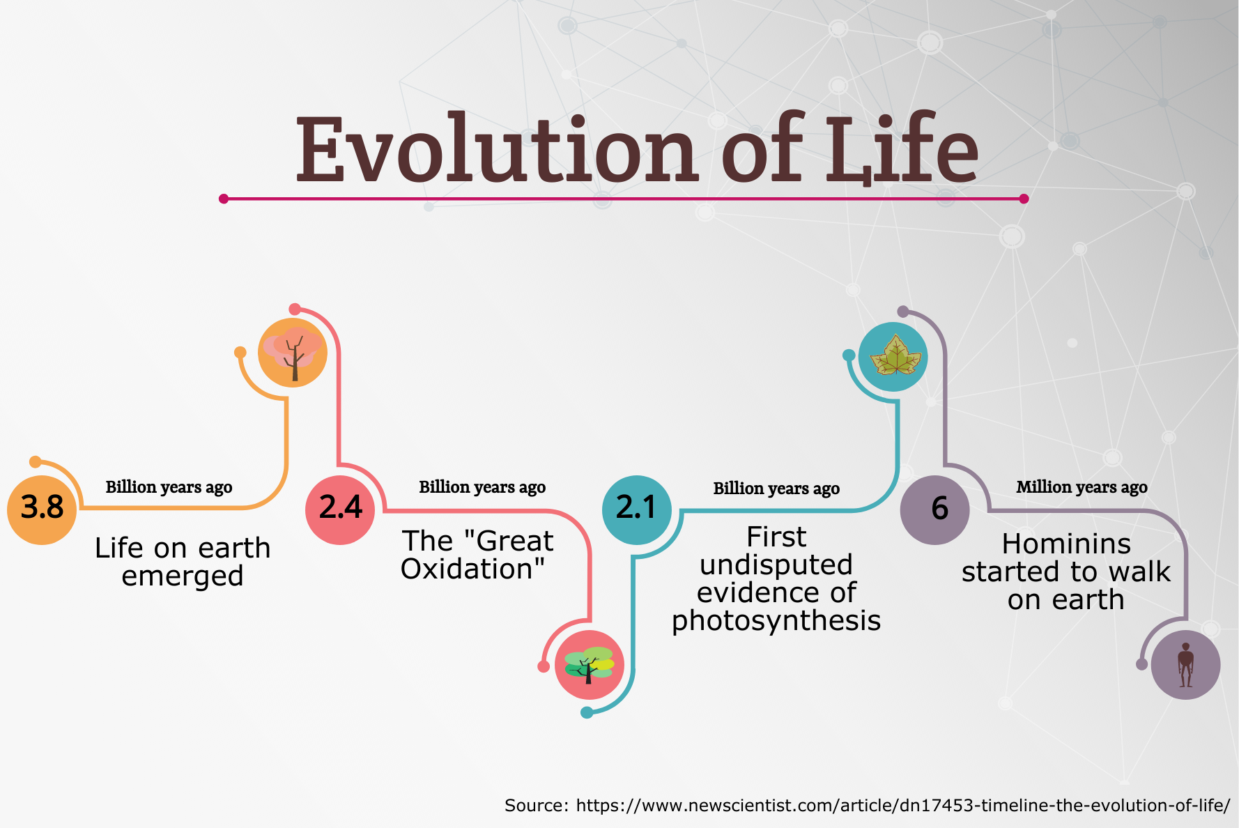 short essay on evolution of life
