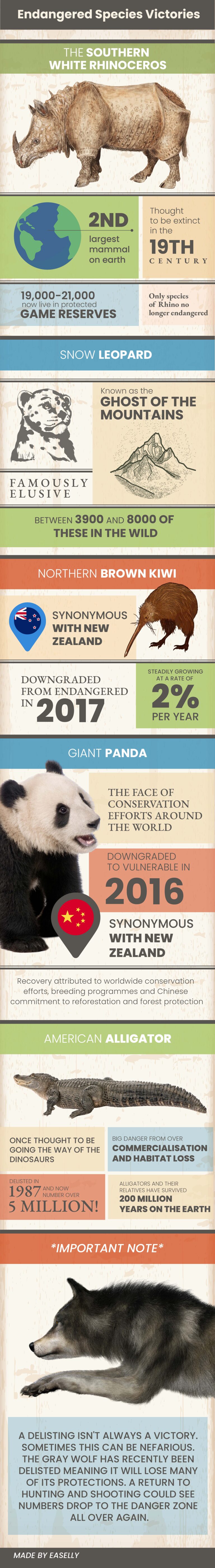 Endangered Species Infographics that answer all your questions ...