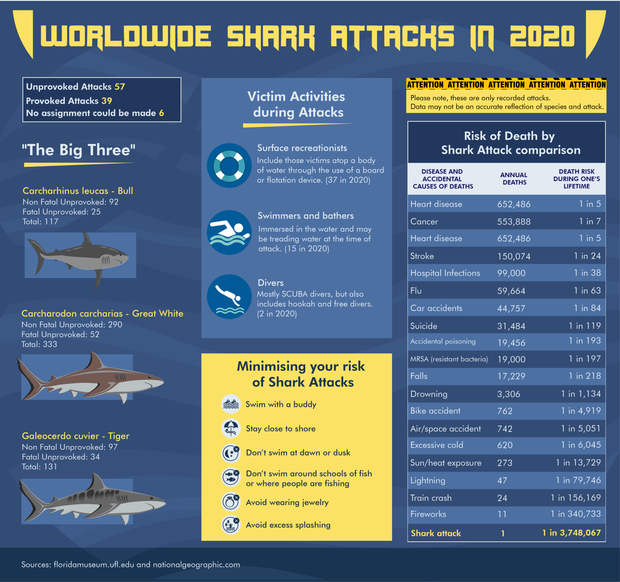 Shark Attack Infographics: Why you don't need to be afraid of sharks.