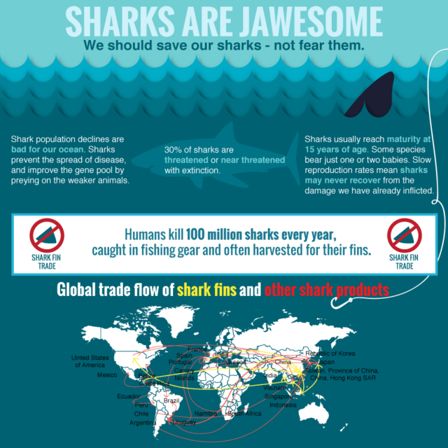 Shark Attack Infographics: Why you don't need to be afraid of sharks.